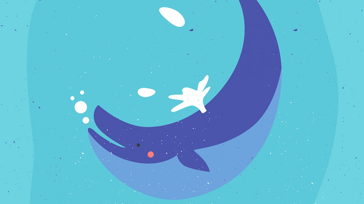 whale