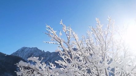 20190120_ad