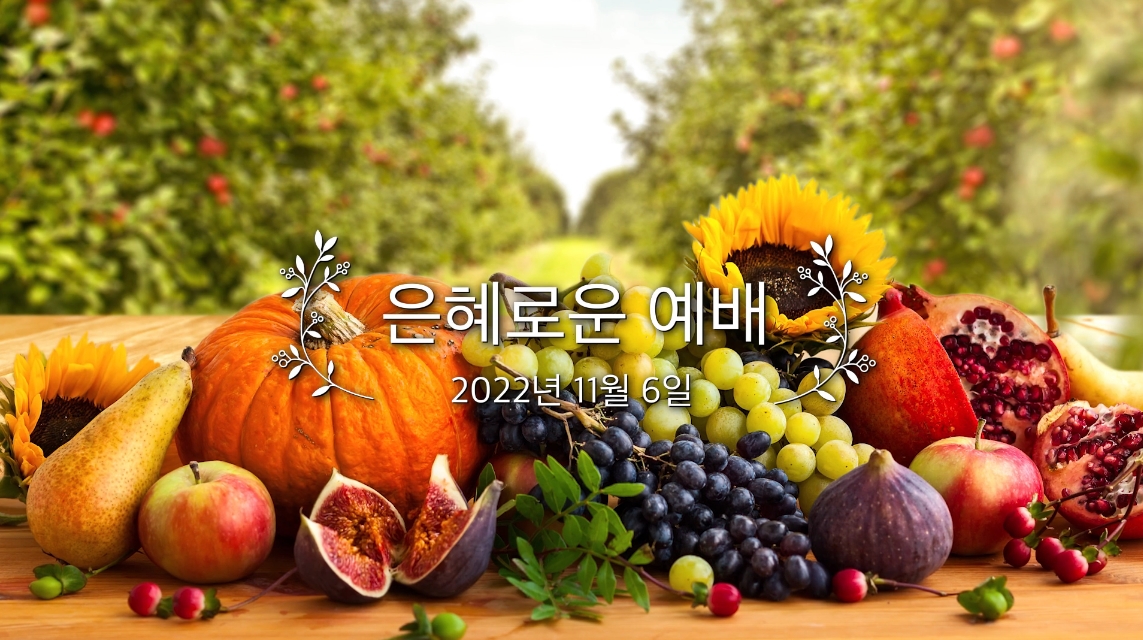 20221106_ad