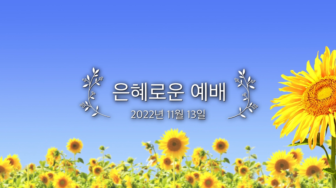 20221113_ad