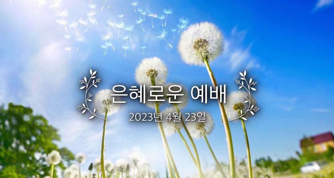 20230423_ad