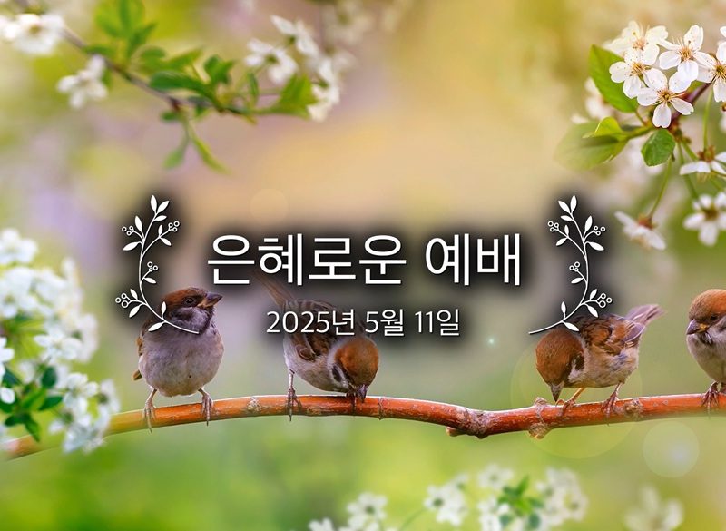 은혜로운 예배