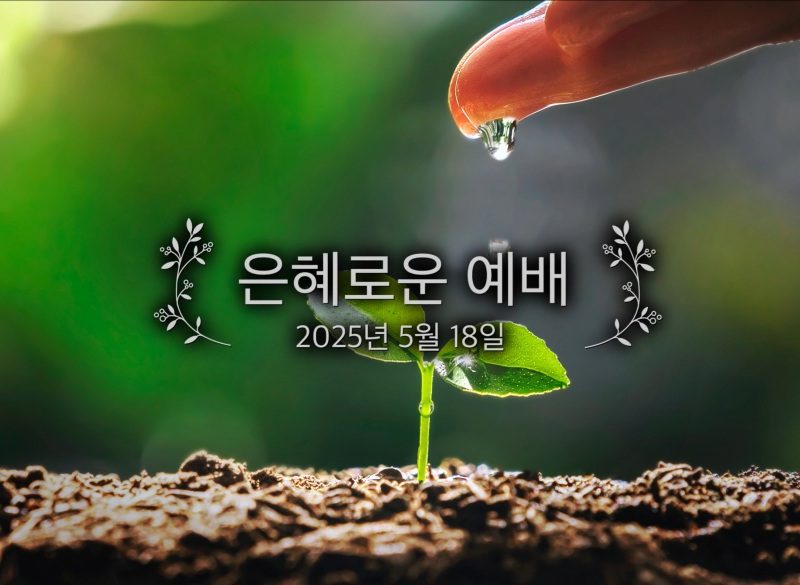 은혜로운 예배