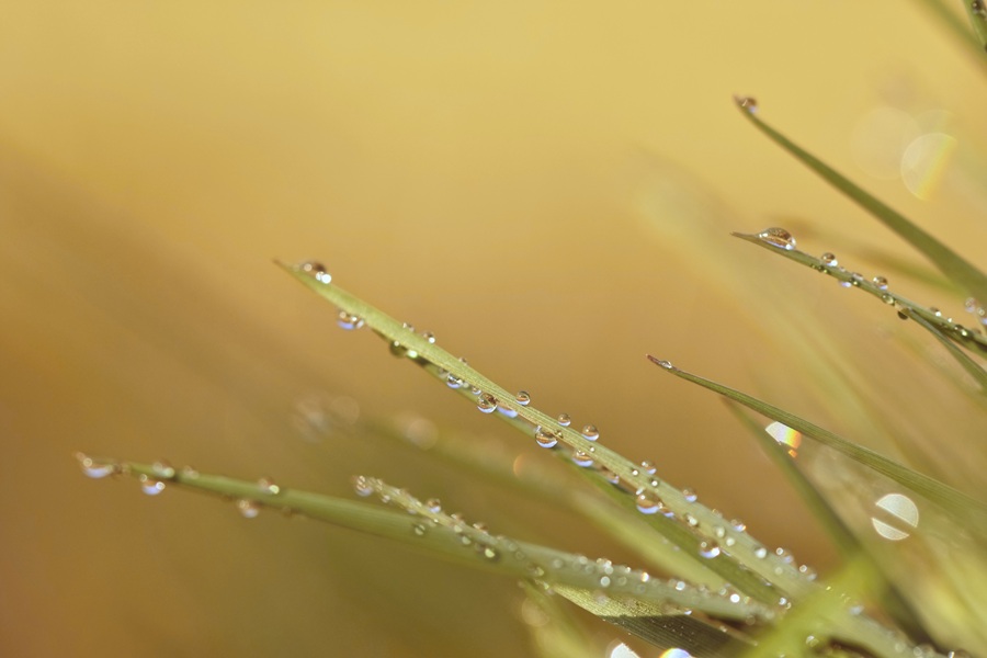 20250504_900x600