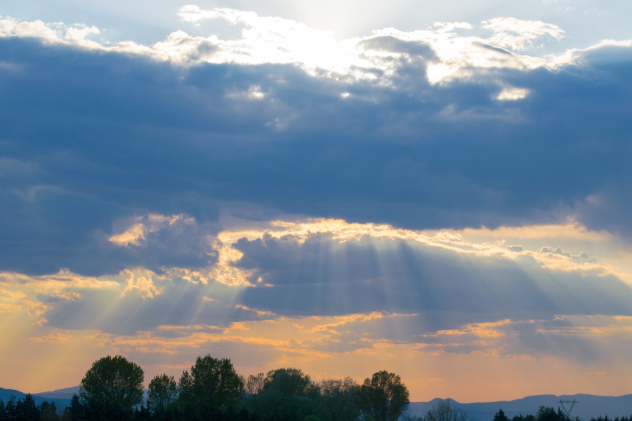 A field covered in greenery under a cloudy sky during a beautiful sunset in the evening