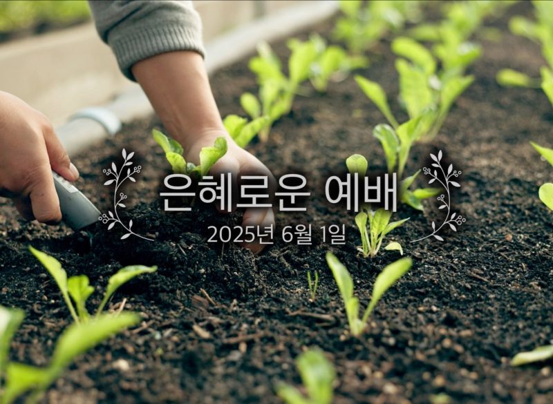 은혜로운 예배