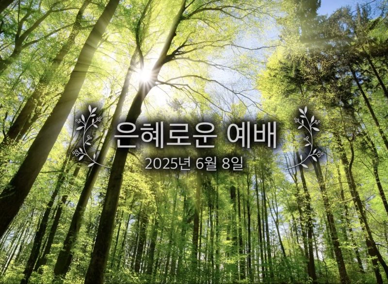 은혜로운 예배