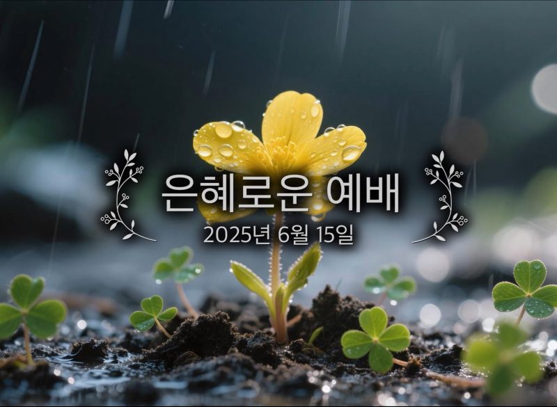 은혜로운 예배