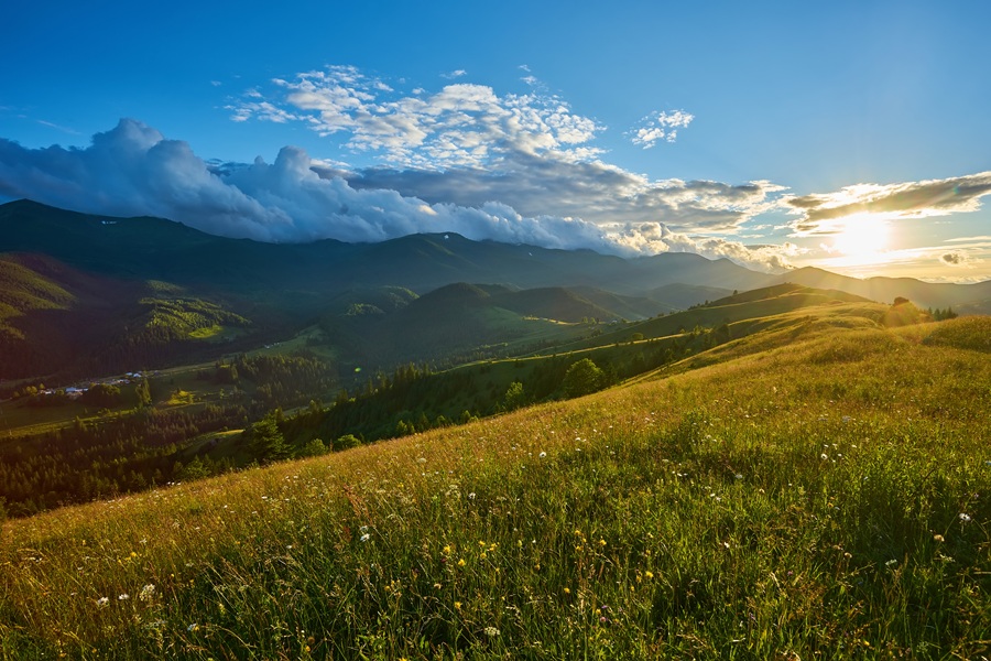 Idyllic landscape in the Alps with fresh green meadows and blooming flowers and snow-capped mountain tops in the background