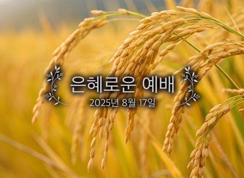 은혜로운 예배