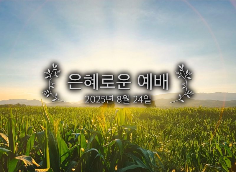 은혜로운 예배 은혜로운 예배