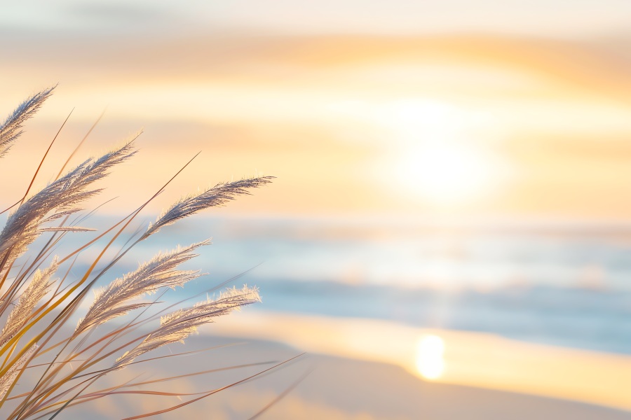 sunset on the beach, AI generated image