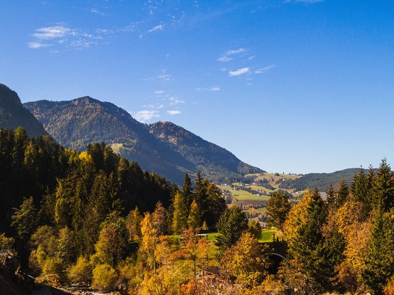 하나님을 모시니…