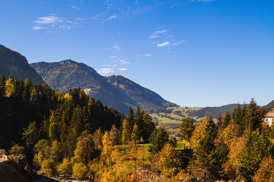 A beautiful shot of different color trees near the forested mountain at dolomites Italy