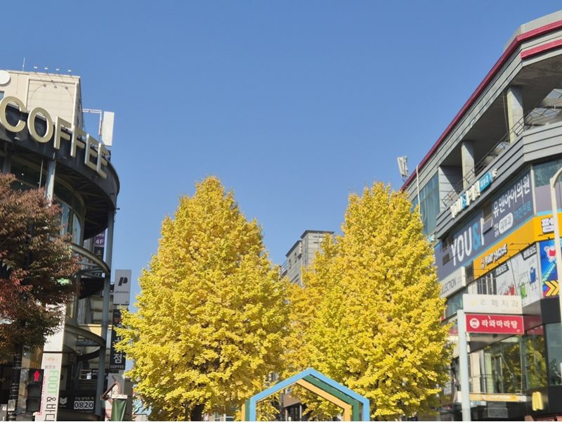 지혜는 어디서…