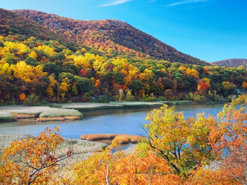 생명을 사모하고…