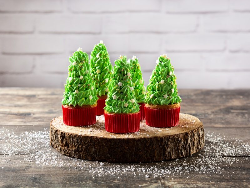 가장 높은 곳에서…