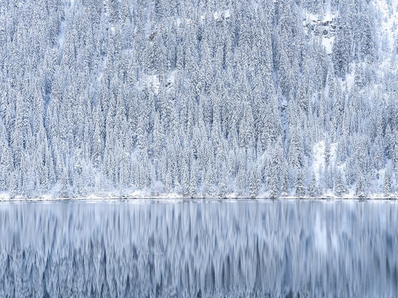 올겨울은 따뜻할…