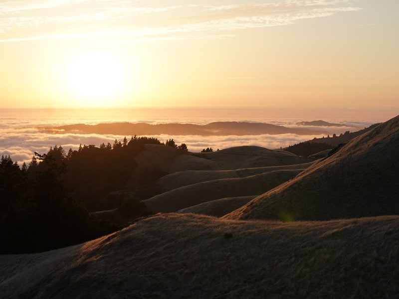 염려했던 일이…