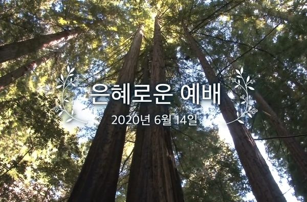 은혜로운 예배