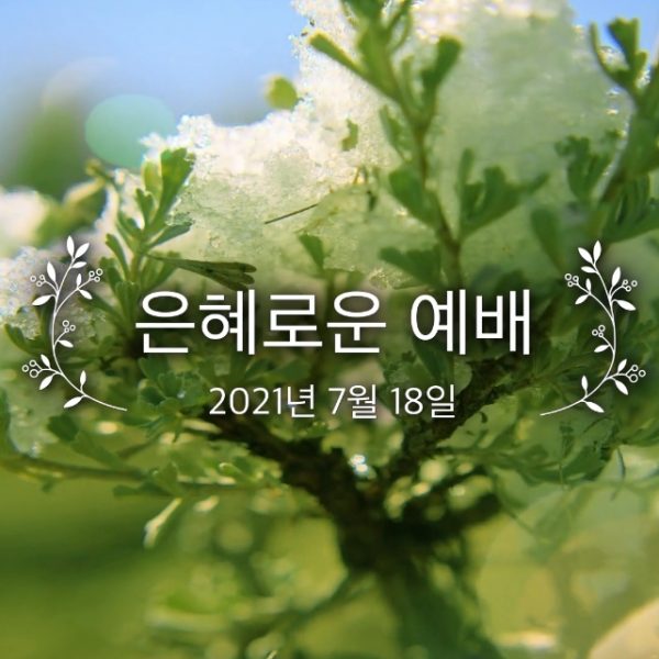 은혜로운 예배