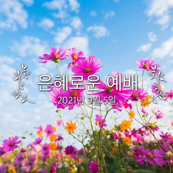 은혜로운 예배