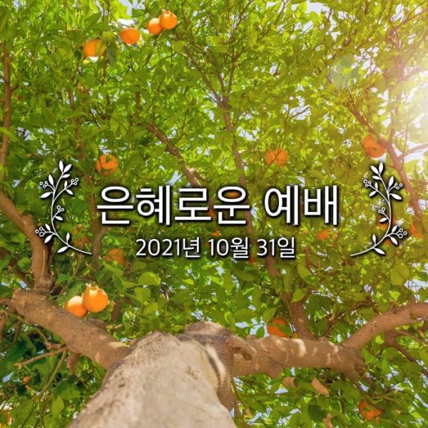 은혜로운 예배