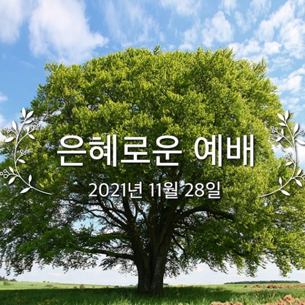 은혜로운 예배
