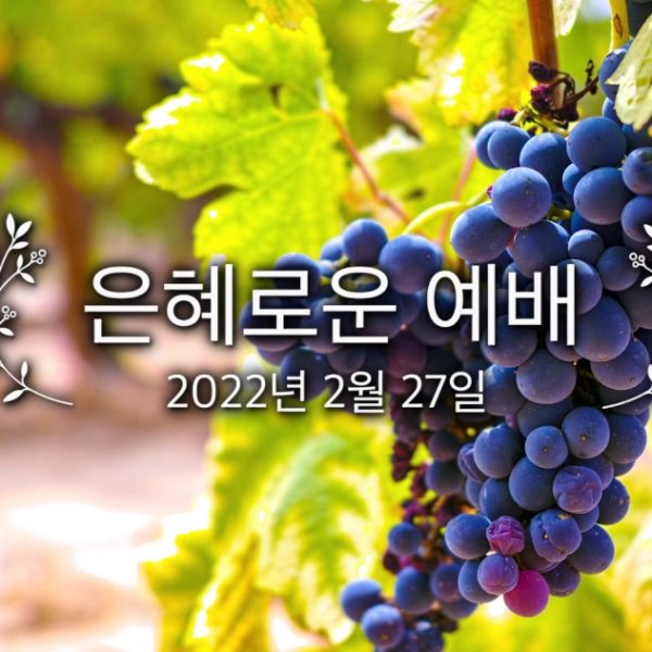 은혜로은 예배