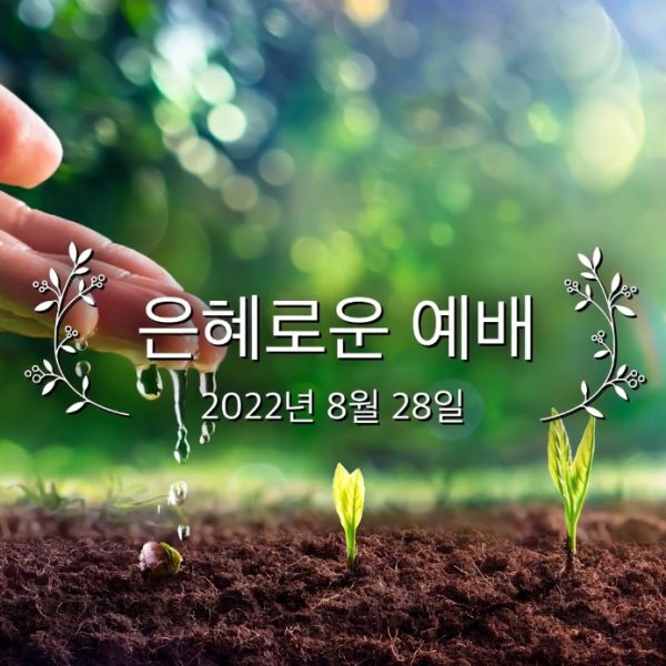 은혜로운 예배