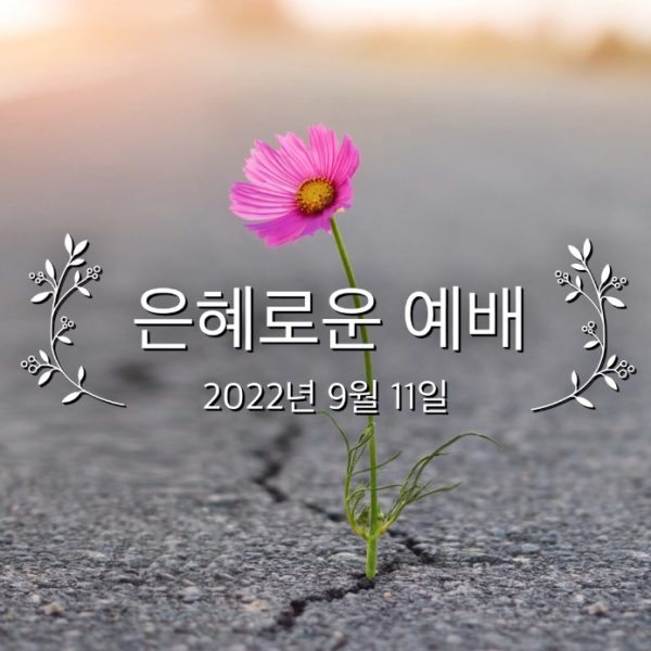 은혜로운 예배