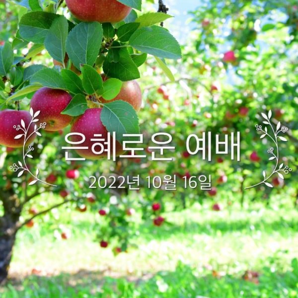 은혜로운 예배