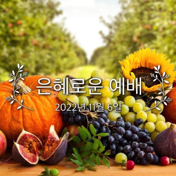 은혜로운 예배