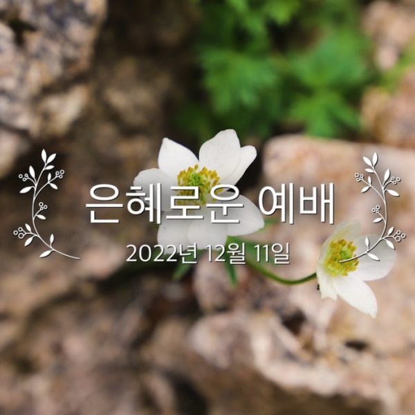 은혜로운 예배
