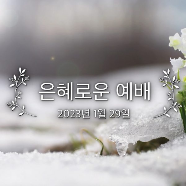 은혜로운 예배
