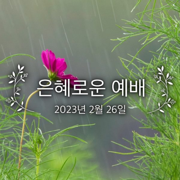은혜로운 예배