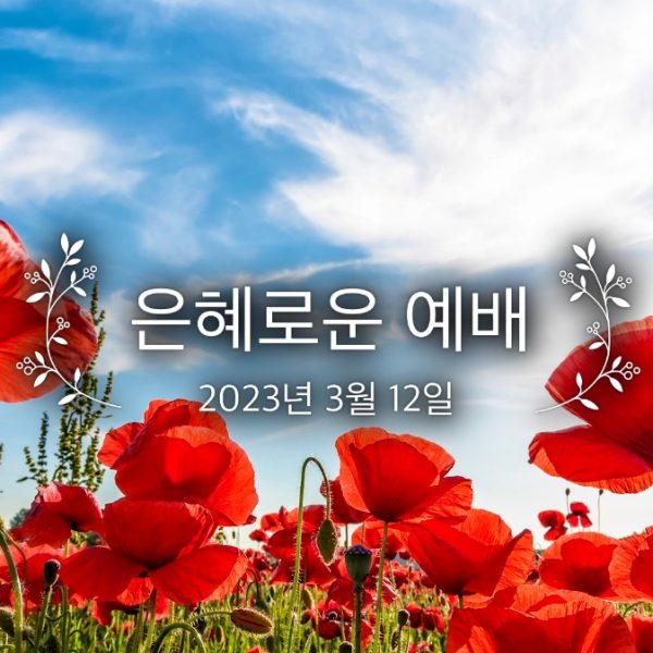 은혜로운 예배