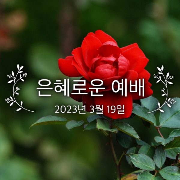 은혜로운 예배