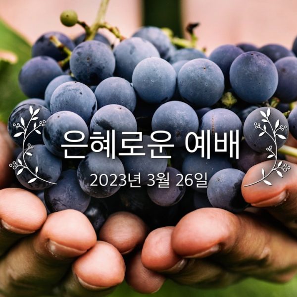 은혜로운 예배