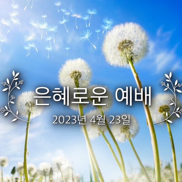 은혜로운 예배
