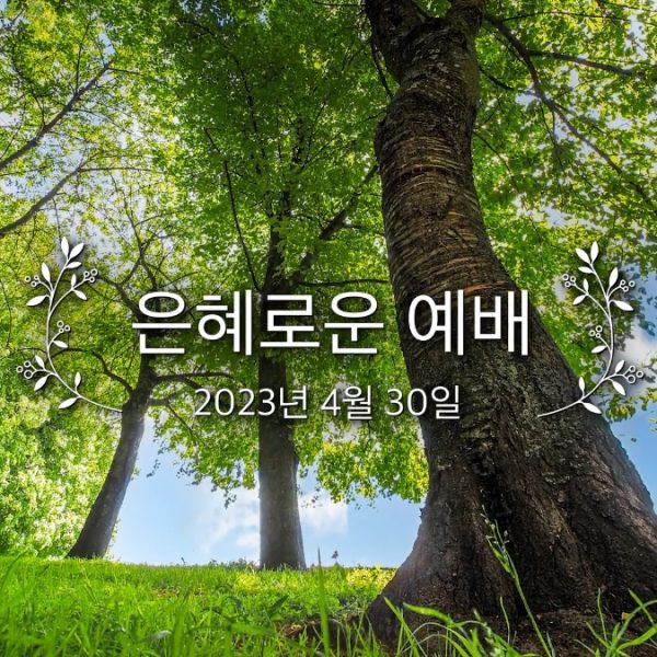 은혜로운 예배
