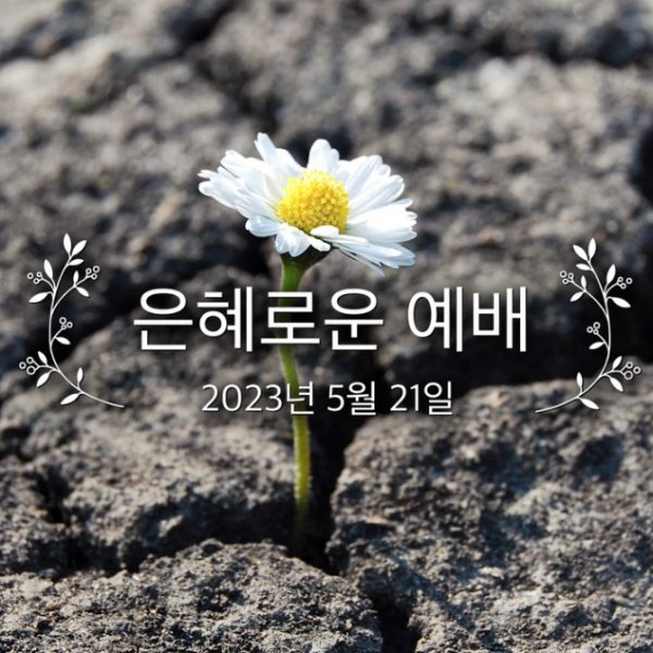 은혜로운 예배
