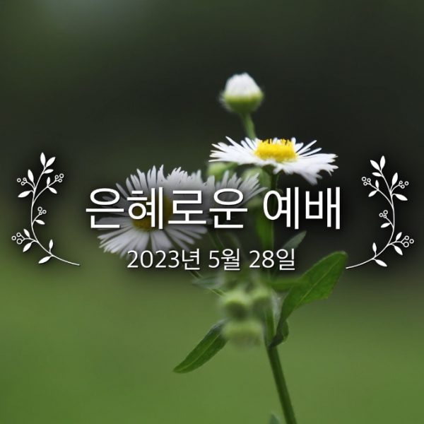 은혜로운 예배