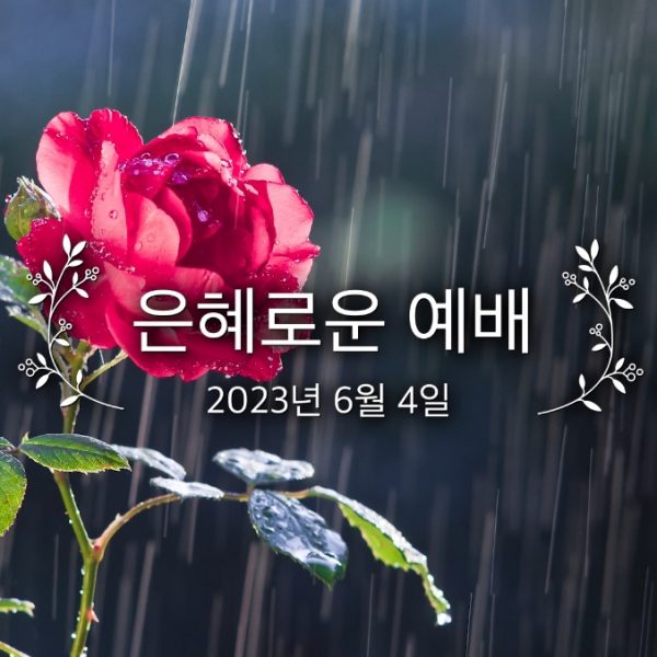 은혜로운 예배