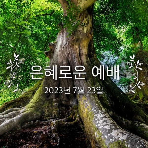 은혜로운 예배