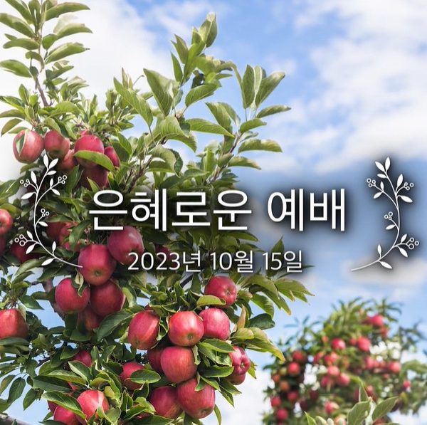 은혜로운 예배