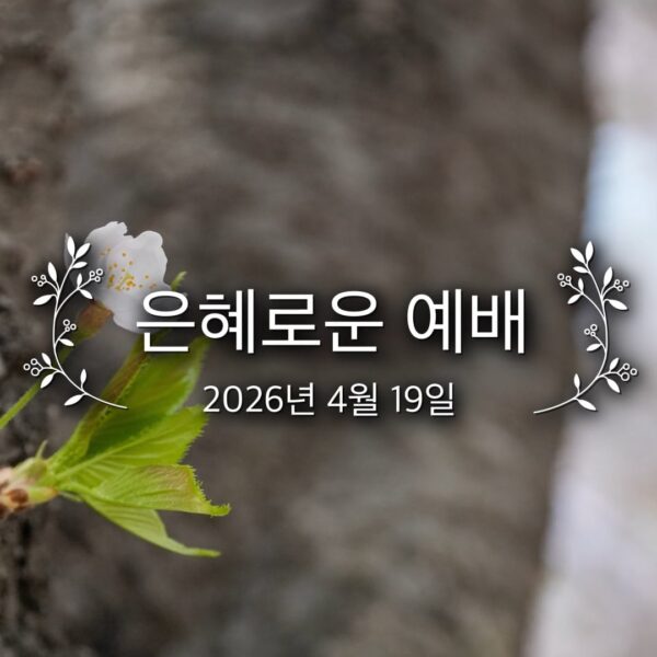 은혜로운 예배
